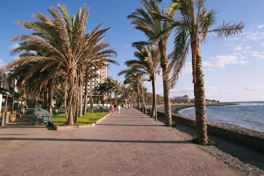Apartment In Playa De Las Americas Arona
